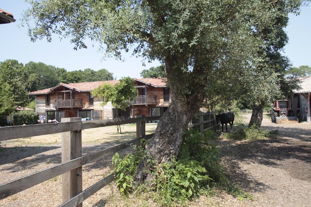 Residence Odalys Domaine De La Prade Messanges  Exterior foto